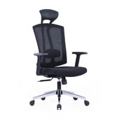 Ergonomic Chairs