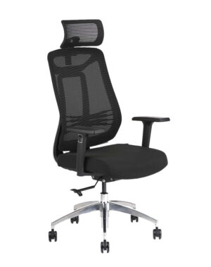 Dom Ergonomic Chair