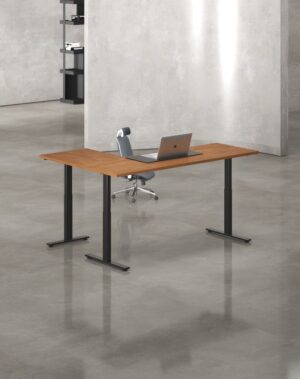 Height Adjustable Desk